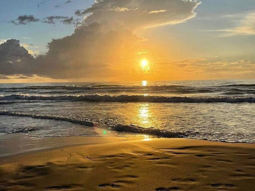 Public beach access path leading to the shoreline in South Padre Island