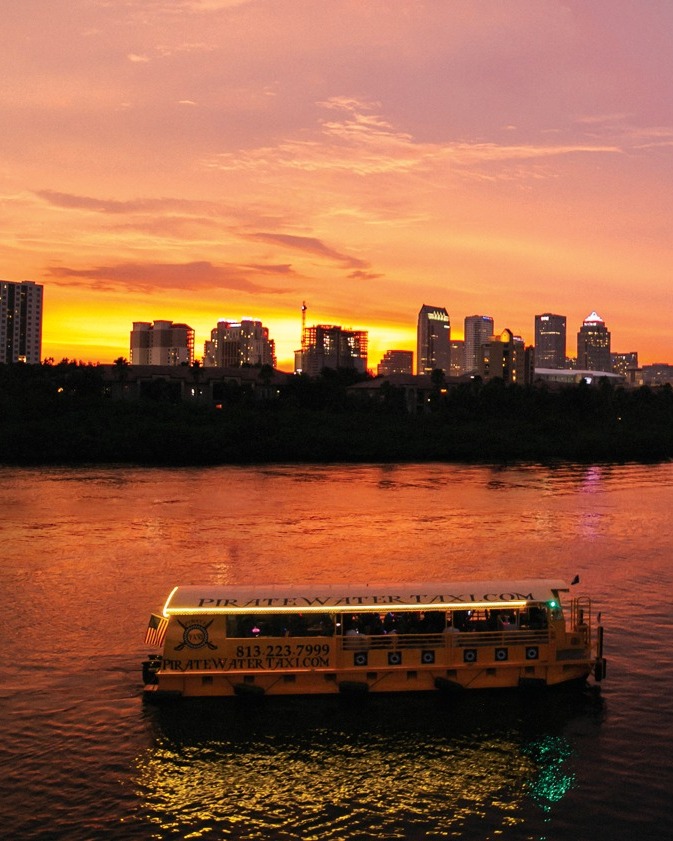 sunset dolphin cruise on Tampa Bay with calm waters