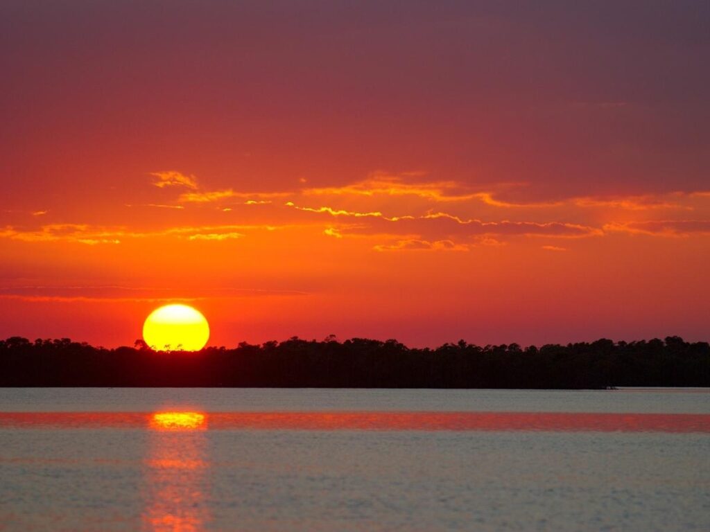 Quiet waterway surrounded by mangroves in the Ten Thousand Islands near Marco Island