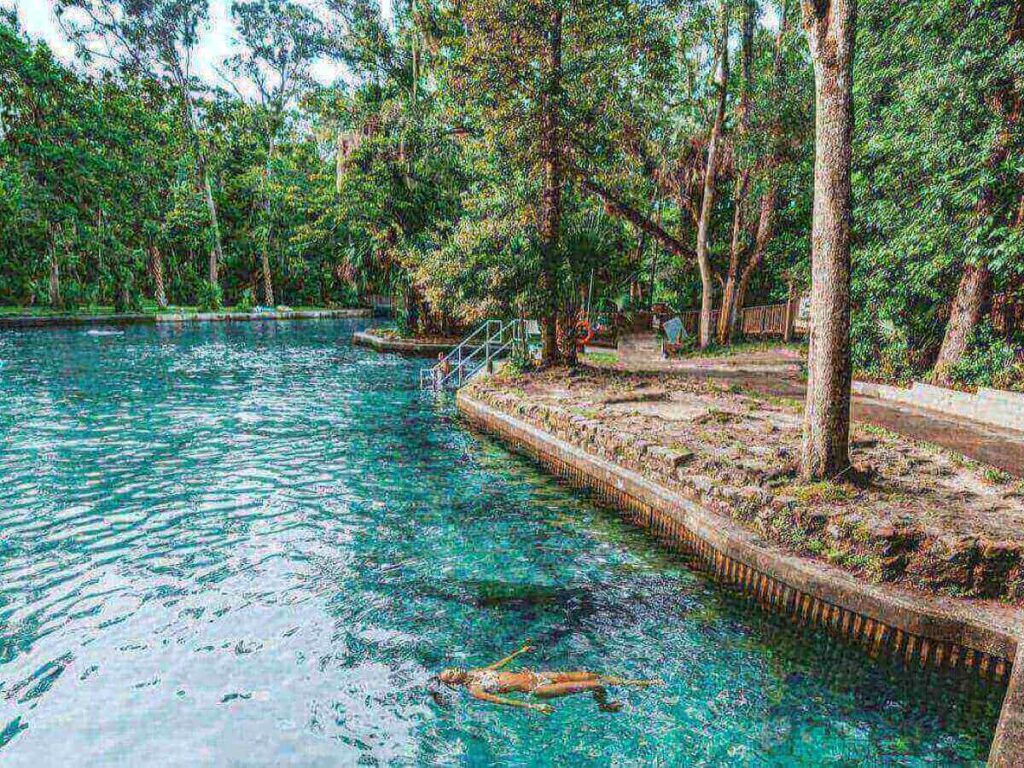 Clear spring water at Wekiwa Springs State Park surrounded by trees