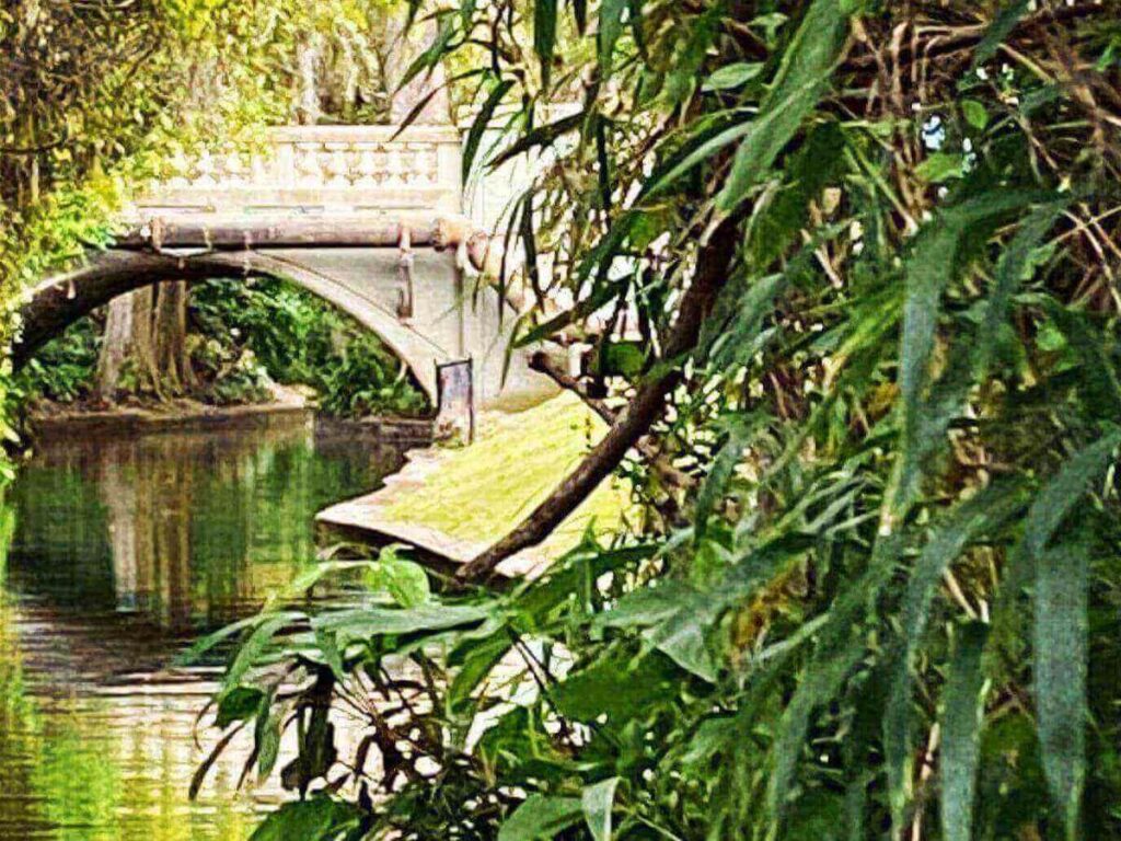 Scenic boat tour passing canals and waterfront homes in Winter Park, Florida