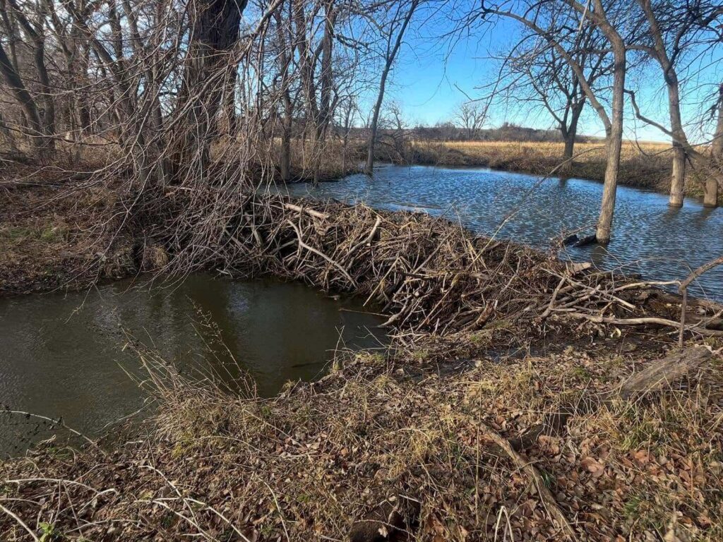 Scenic view from Beaver Dam overlooking Beaver Lake in Arkansas