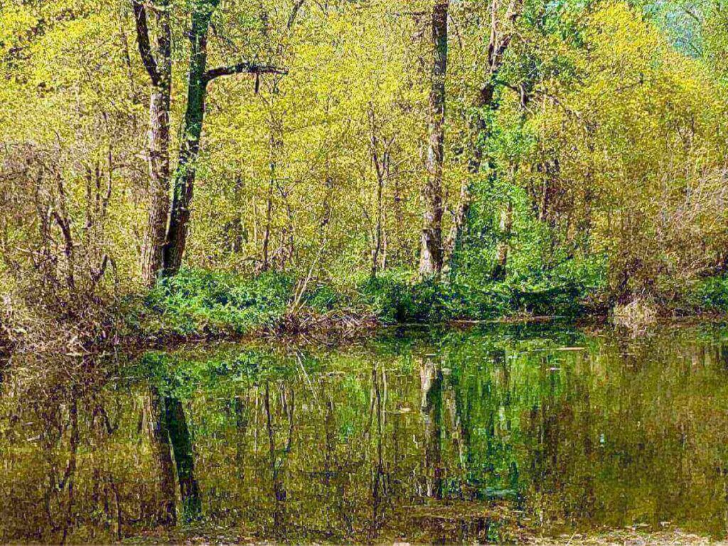 River views at Blackbird Island near downtown Leavenworth on a calm afternoon