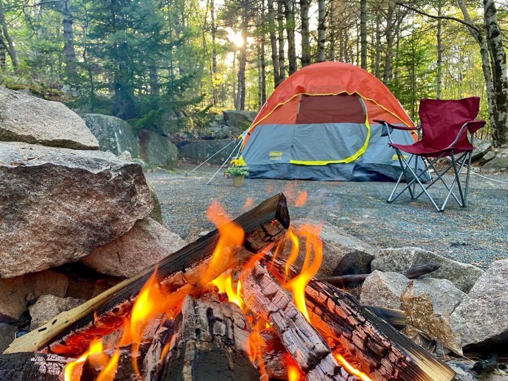 Forest tent site at Blackwoods Campground in Acadia National Park