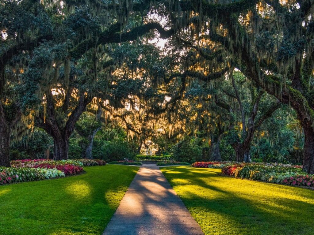 Sculpture path through oak trees draped in Spanish moss at Brookgreen Gardens.