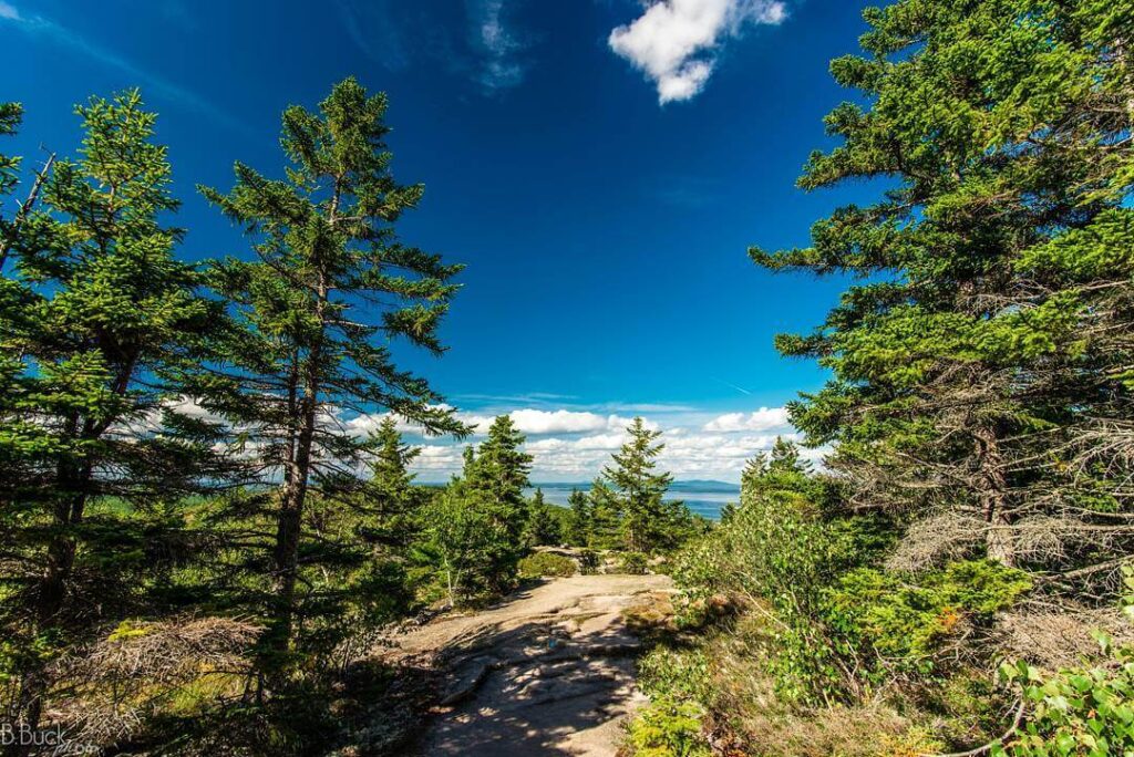 Cadillac North Ridge Trail