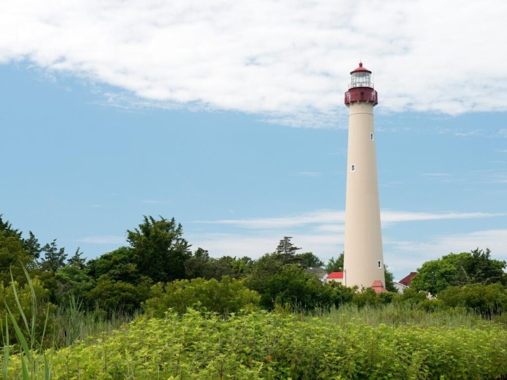Cape May Lighthouse rising above the trees on a bright summer day.