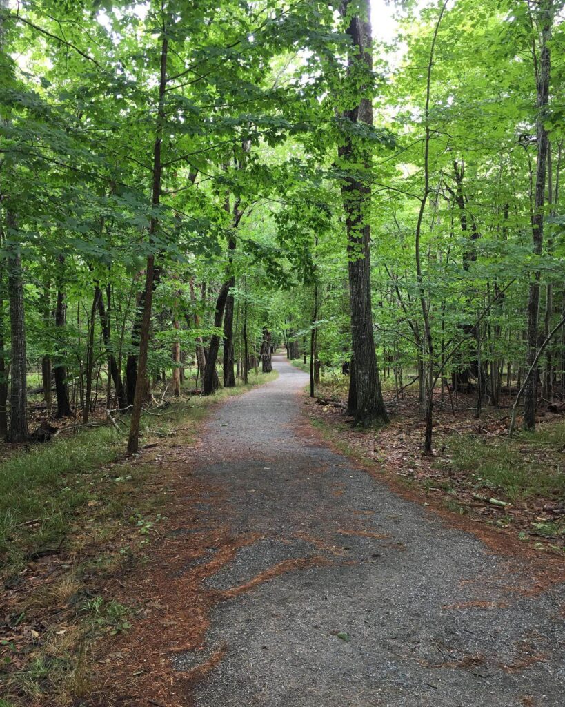 Compass Harbor Trail