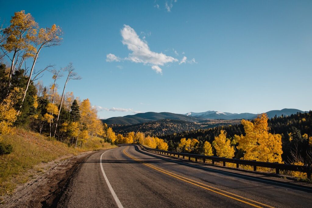 Aspen trees with golden fall foliage along the Enchanted Circle drive near Taos