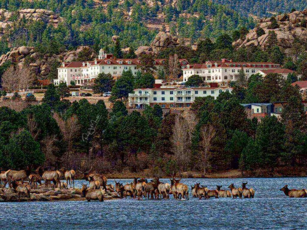 The Riverwalk in downtown Estes Park with shops and trees along the creek.