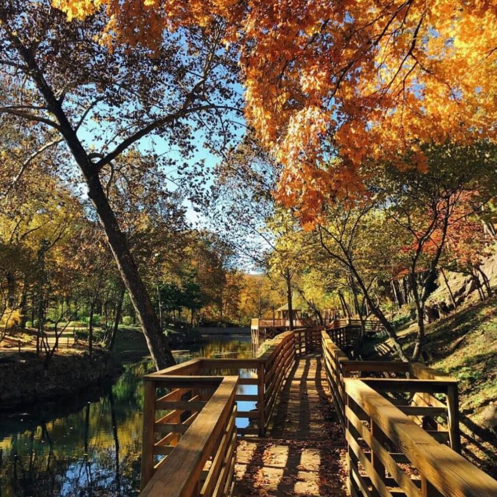 Fall foliage in the Ozark Mountains around Eureka Springs Arkansas