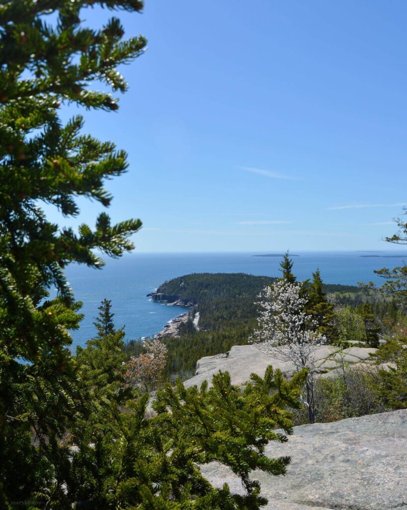 Gorham Mountain Trail