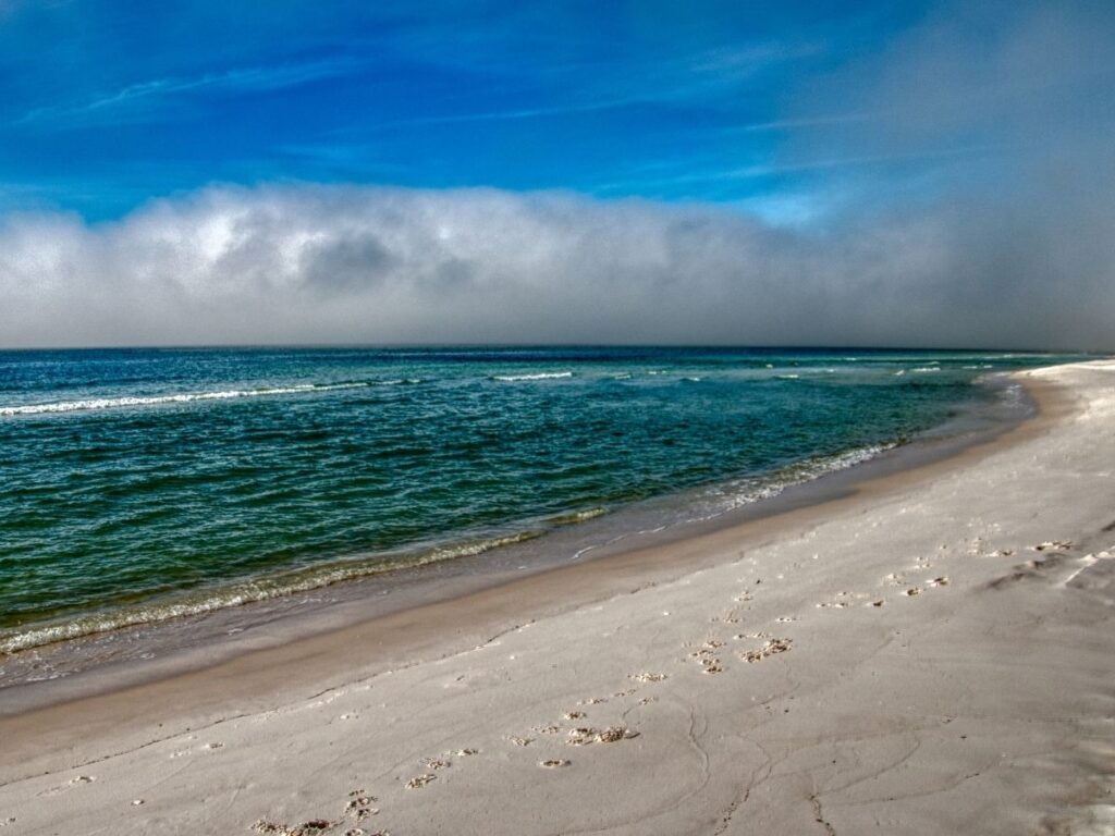 White sand beach and dunes at Grayton Beach State Park