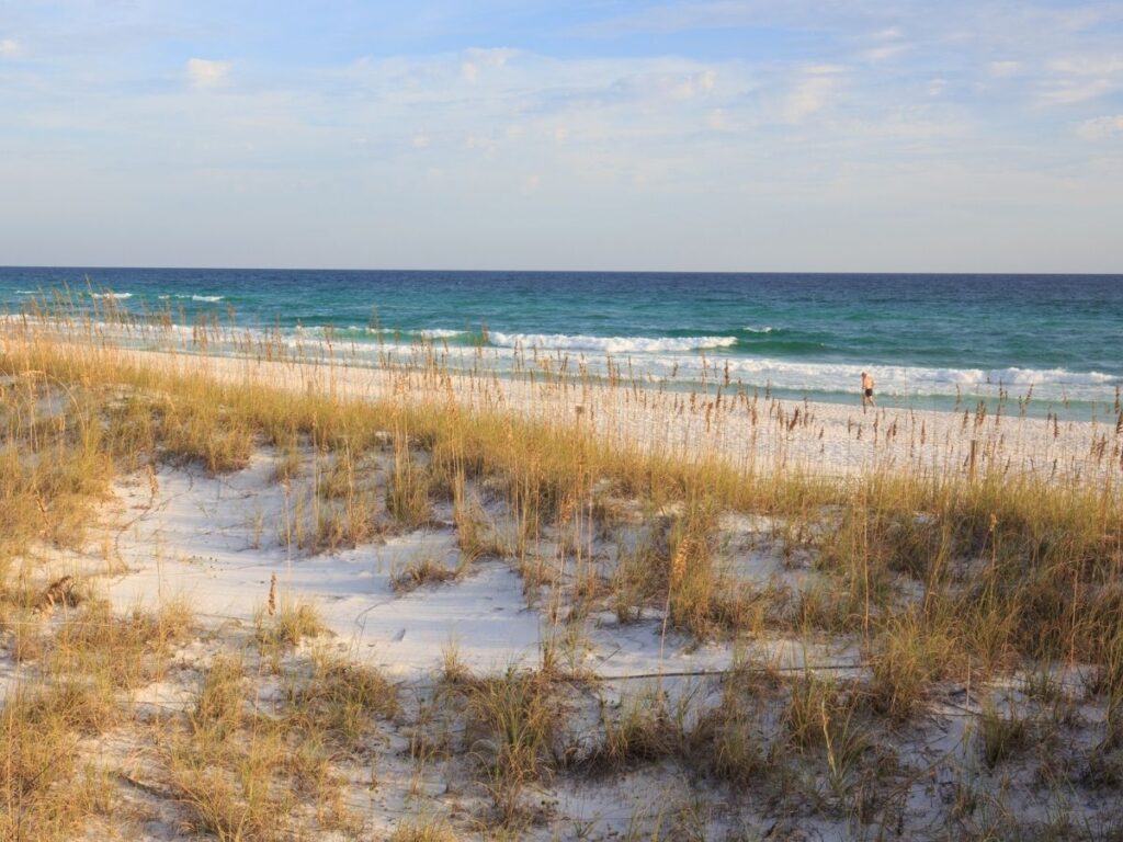 White sand beach and natural dunes at Henderson Beach State Park
