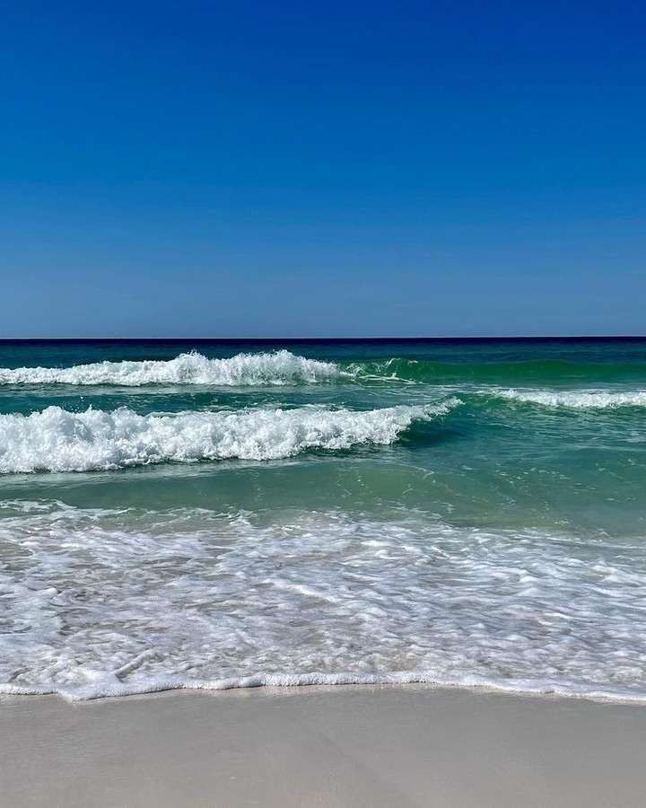White sand beach and sand dunes at Henderson Beach State Park in Destin