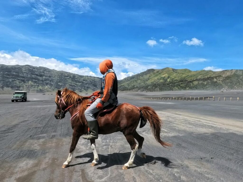 Horseback riding through foothills near Estes Park, Colorado.