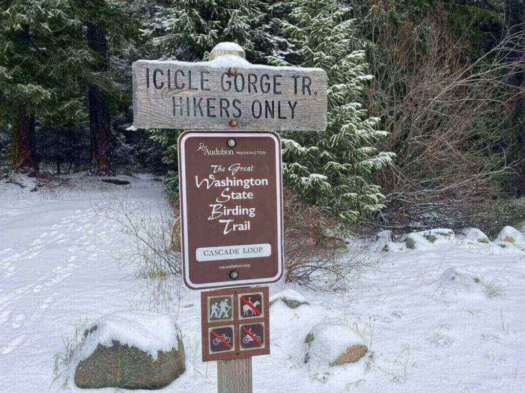 Shaded trail along the river on the Icicle Gorge Nature Loop near Leavenworth