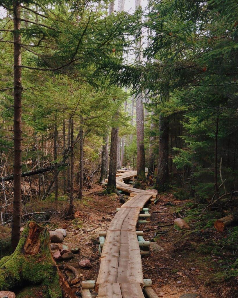Jordan Pond Loop