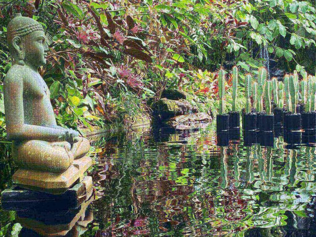 Bay views and shaded garden paths at Marie Selby Botanical Gardens in Sarasota