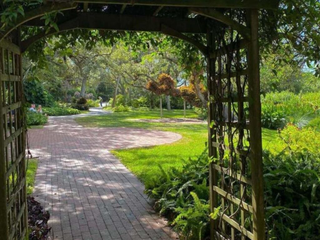 Shaded walking path surrounded by tropical plants at Marie Selby Botanical Gardens