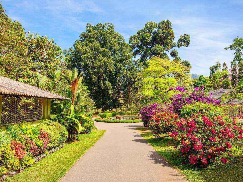 Quiet walking path surrounded by tropical plants at Marie Selby Botanical Gardens