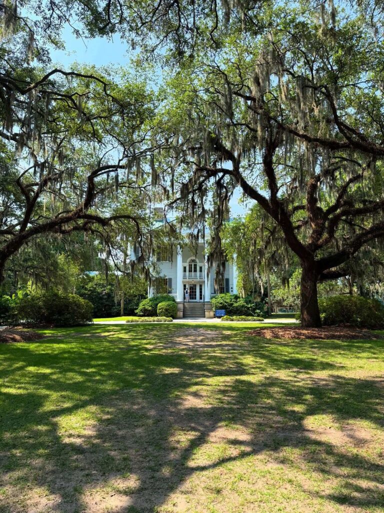 Live oaks and plantation house at McLeod Plantation Historic Site Charleston
