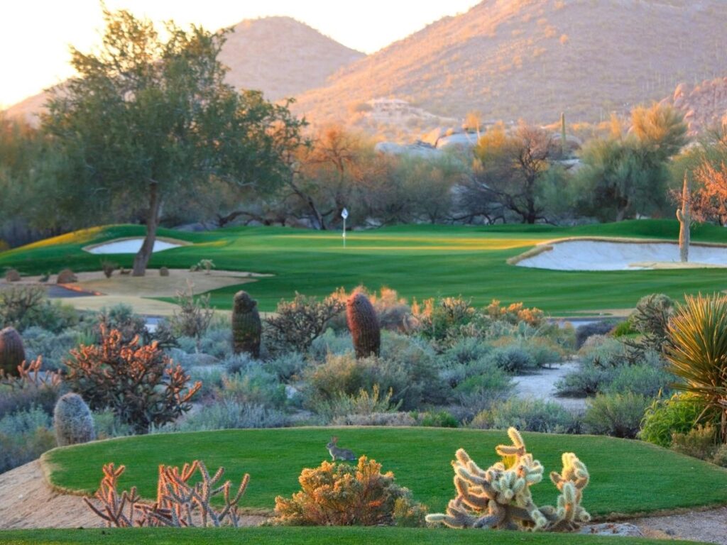 Golf courses in North Scottsdale surrounded by desert mountains.