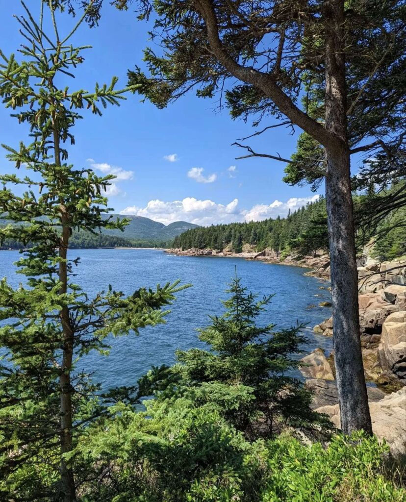 Ocean Path Trail