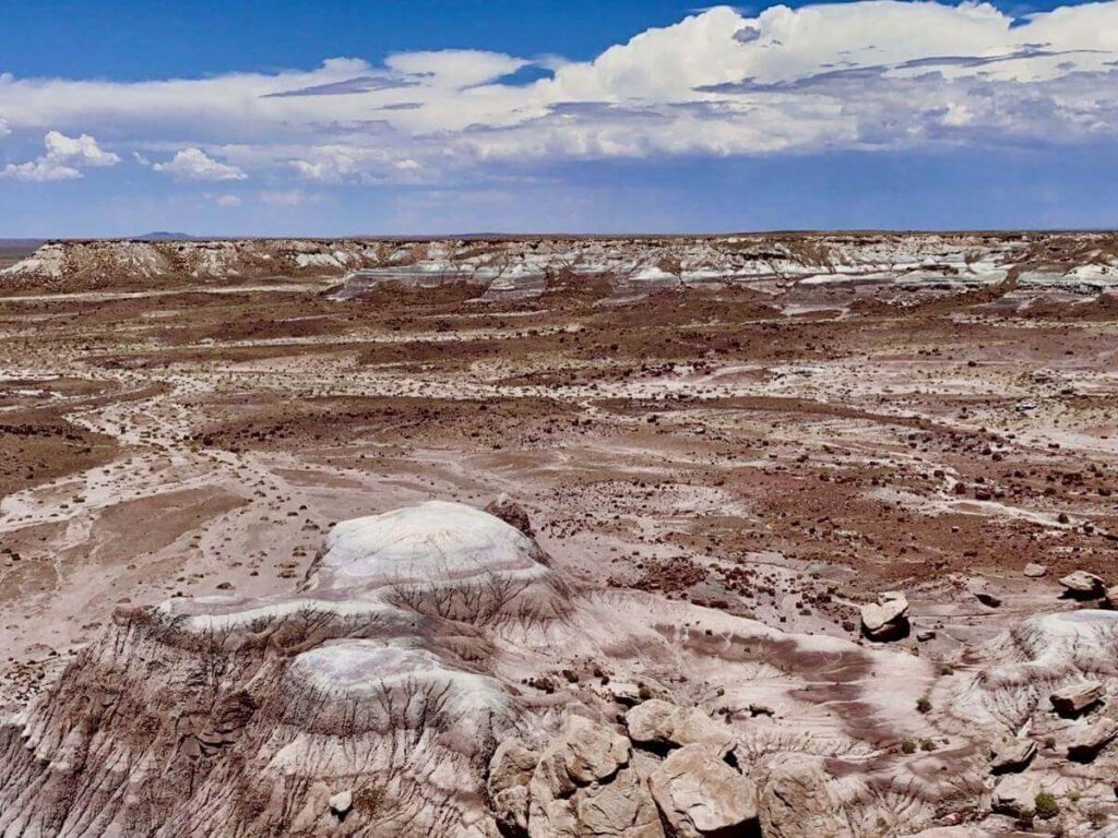 Petrified logs scattered across the Petrified Forest landscape