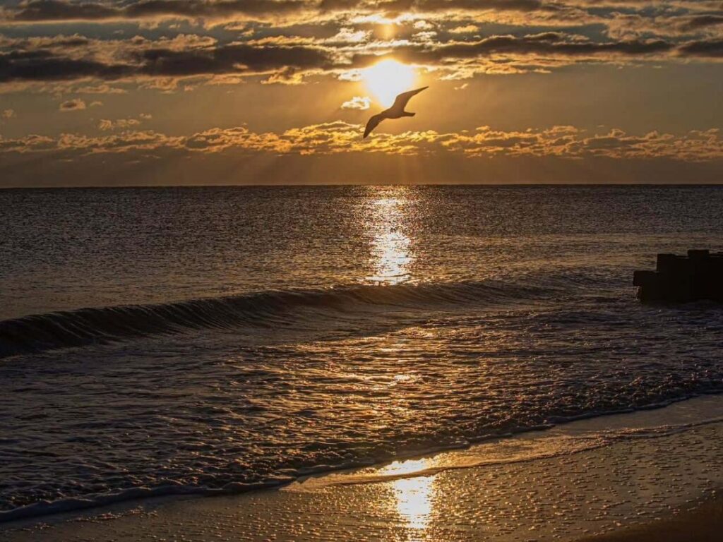 Natural coastal area near Rehoboth Beach away from the boardwalk