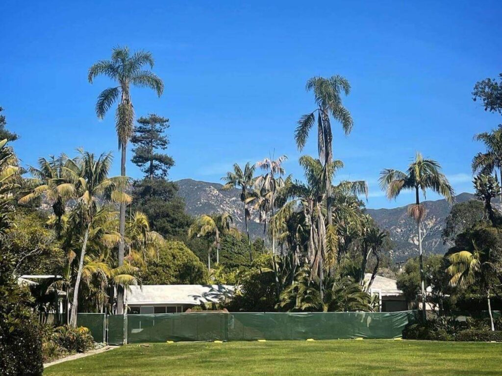 Relaxed afternoon at a Santa Barbara beach with palm trees and open sand