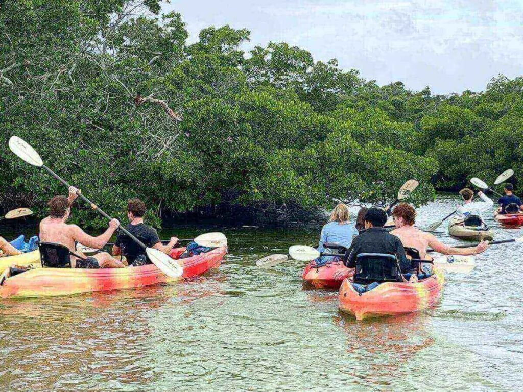 Kayakers on calm water near Sarasota on a clear morning