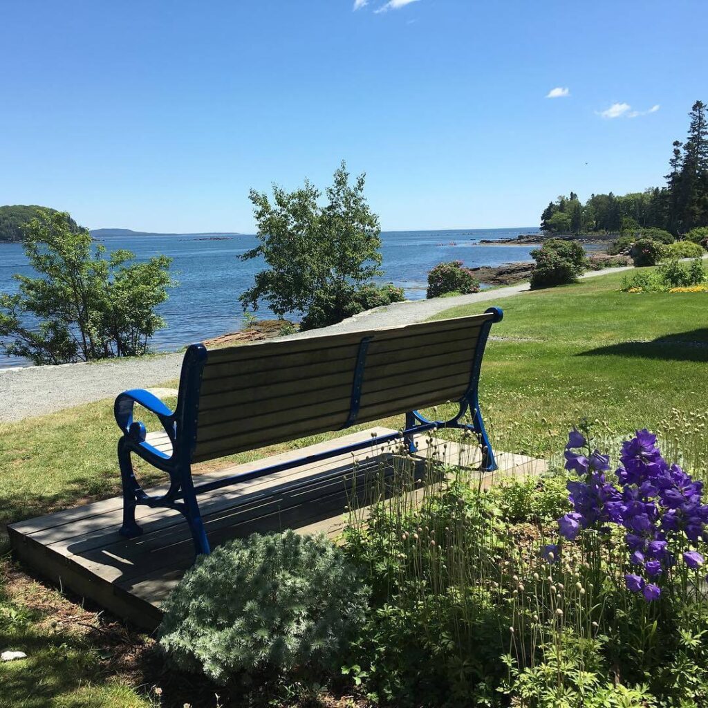 Quiet morning walk on the Shore Path