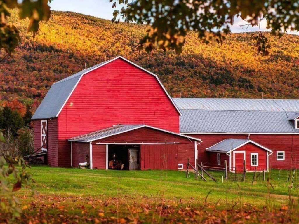 Green summer landscape and walking path near Stowe, Vermont