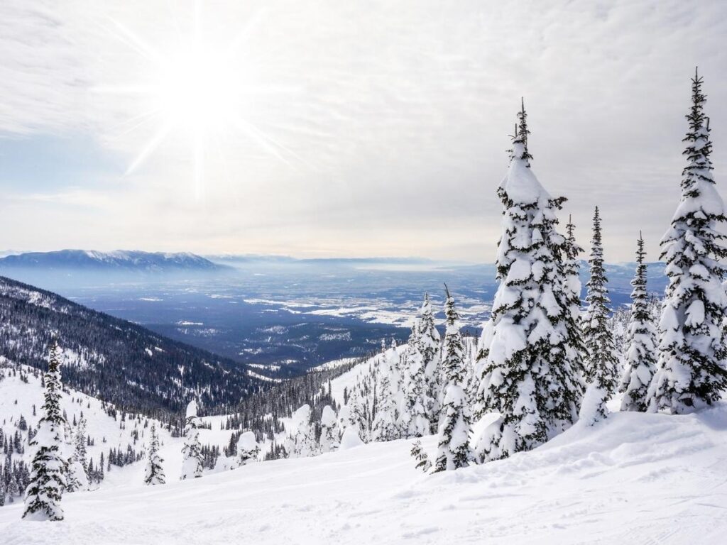 Whitefish, Montana showing a balance of town and natural scenery