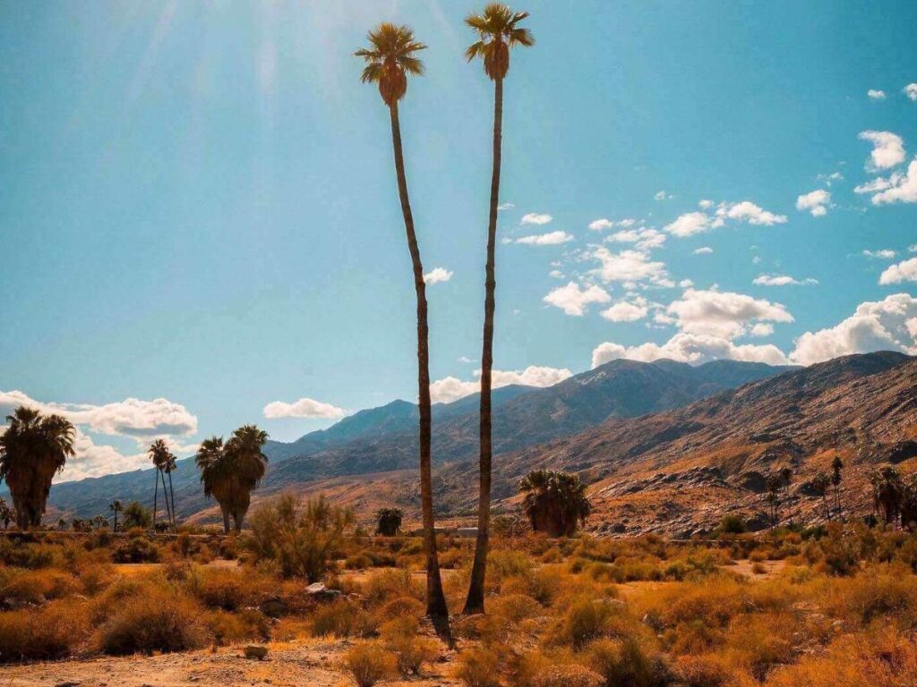 Best Things to Do in Palm Springs