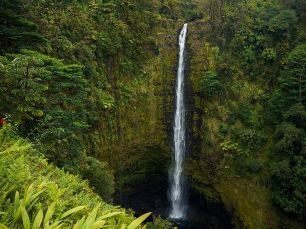 Lush rainforest waterfall in Oahu, Hawaii surrounded by tropical greenery