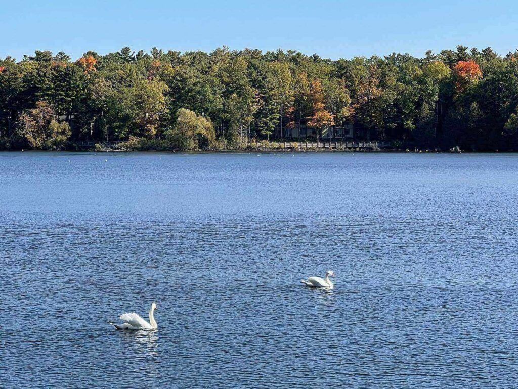 Walking and biking trail around Boardman Lake in Traverse City