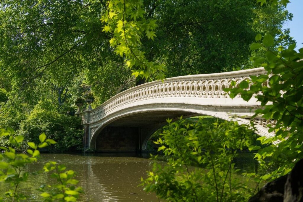 A wooded path in The Ramble, Central Park