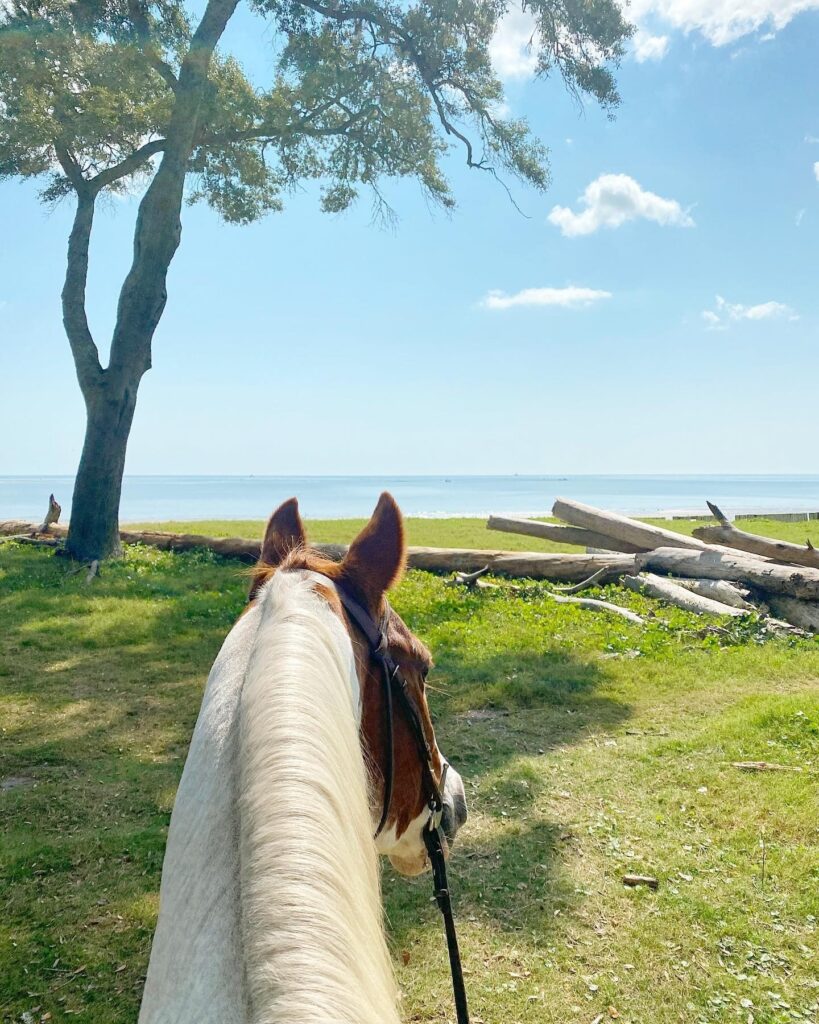 Daufuskie Island Day Trip