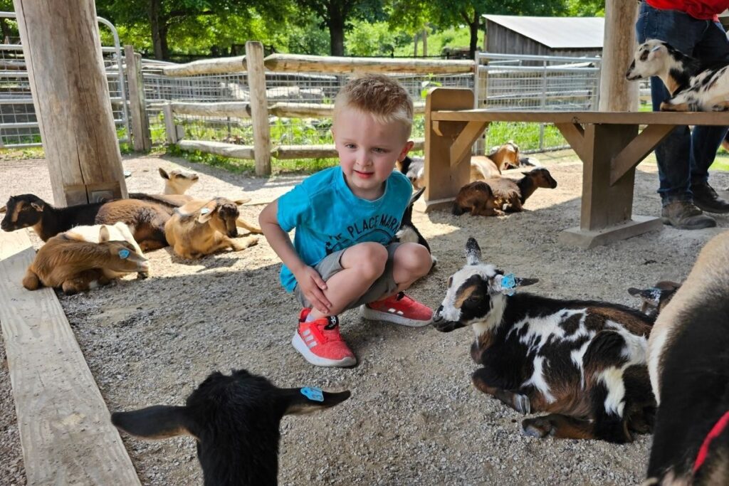 Children feeding baby goats at Deanna Rose Farmstead
