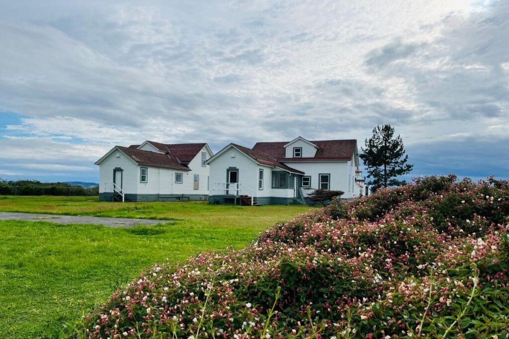 Trail through the forest at Discovery Park in Seattle