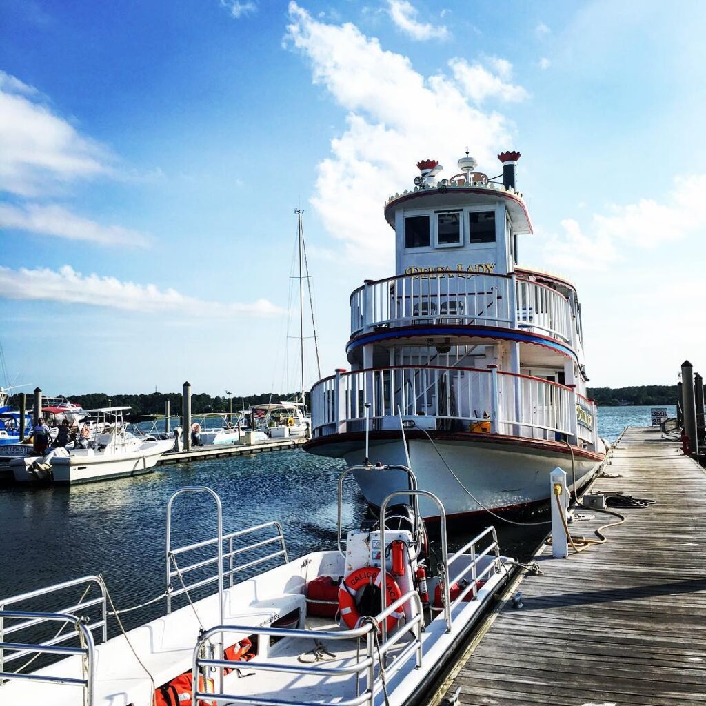 Dolphin cruise at Hilton Head