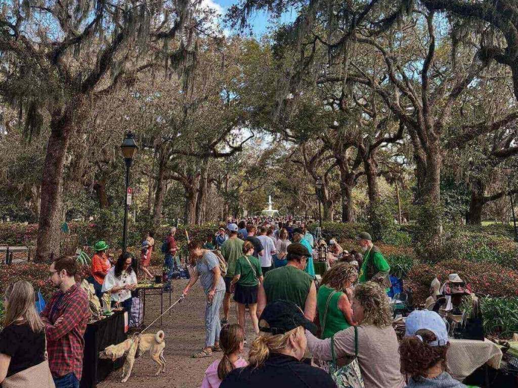 People relaxing in Forsyth Park in Savannah during late afternoon light