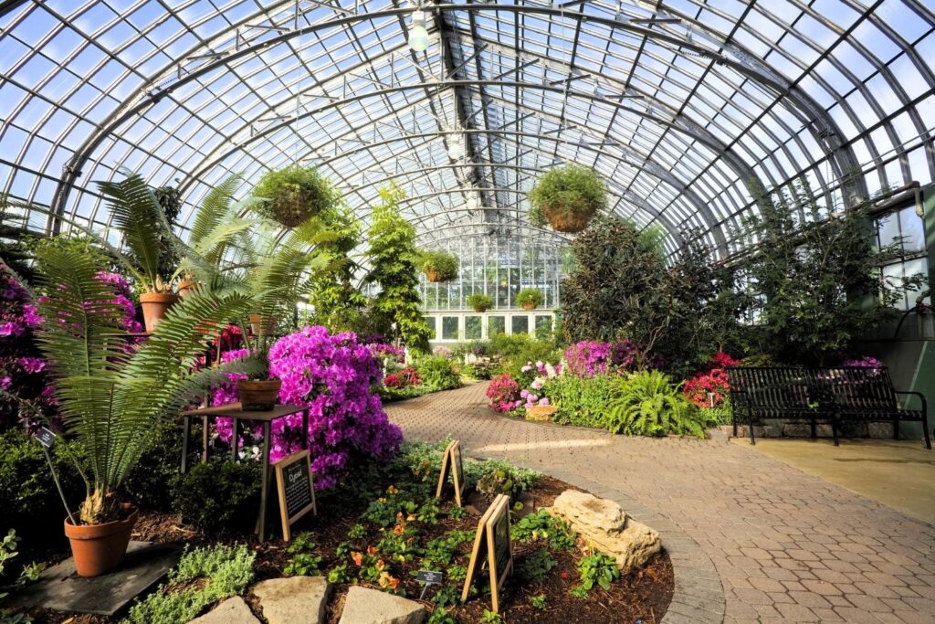 Interior of Garfield Park Conservatory with tropical plants