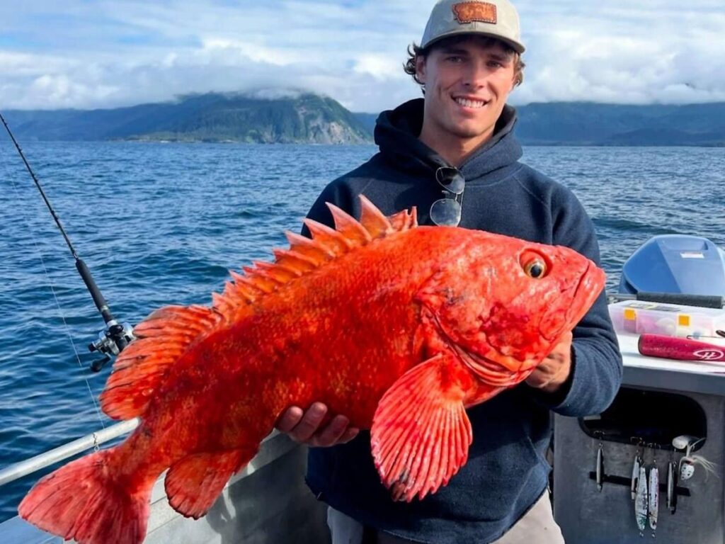 Morning view of the Homer Spit harbor with fishing boats and calm water
