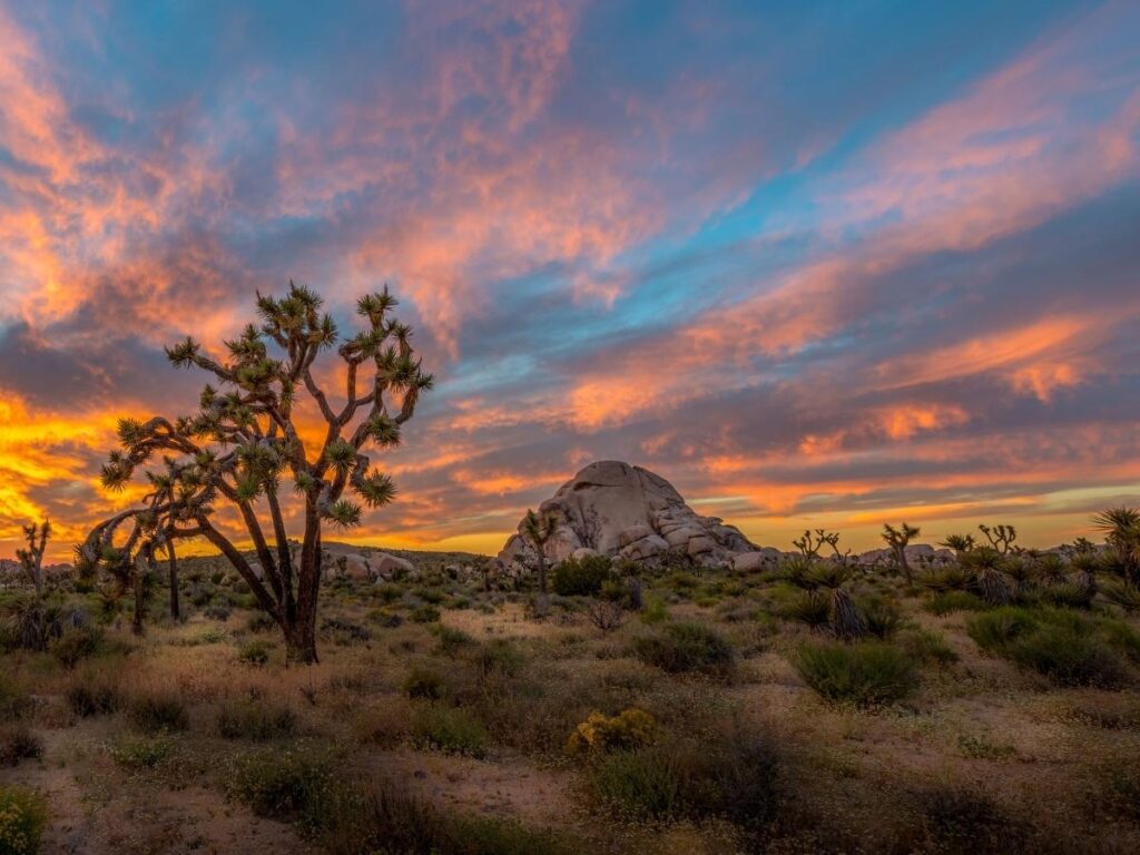 Sunset light on rock formations in Joshua Tree National Park