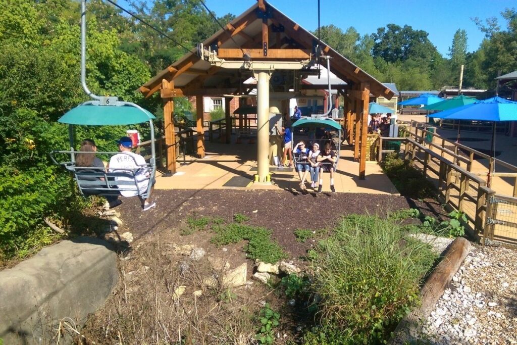 Sky gondola ride over Kansas City Zoo