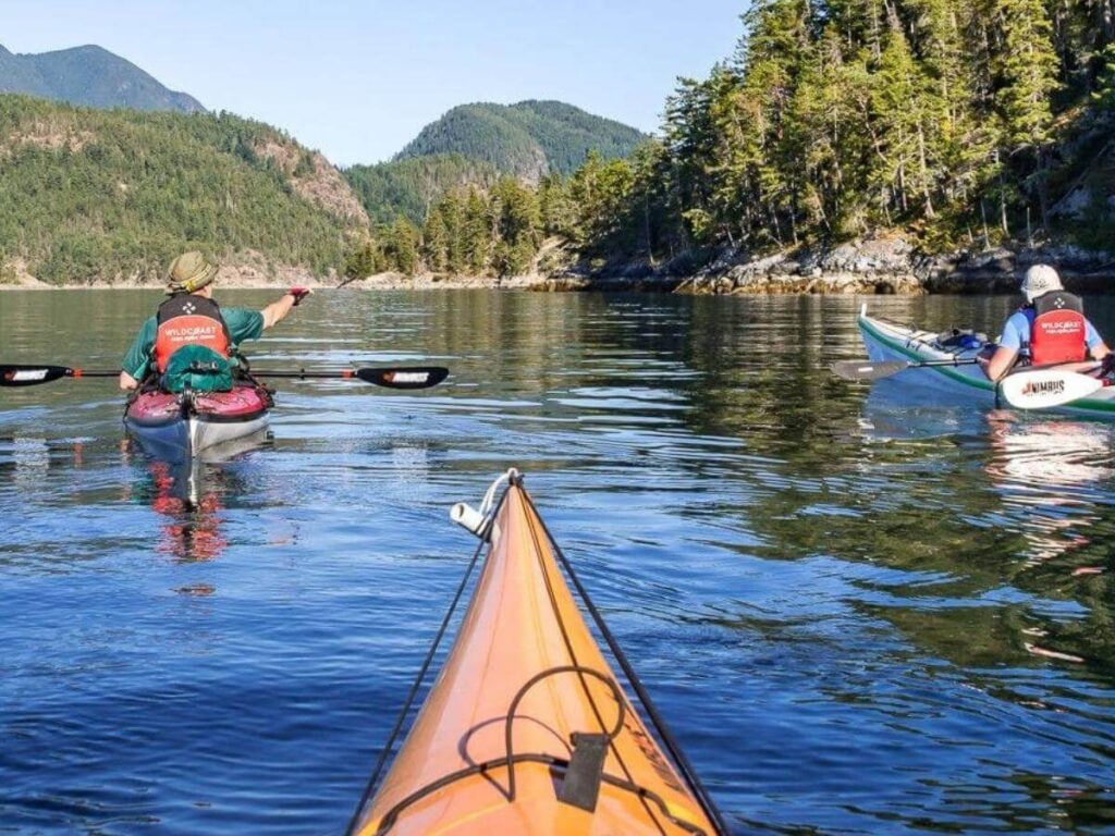 Kayakers paddling along the shoreline of Kachemak Bay in Homer, Alaska