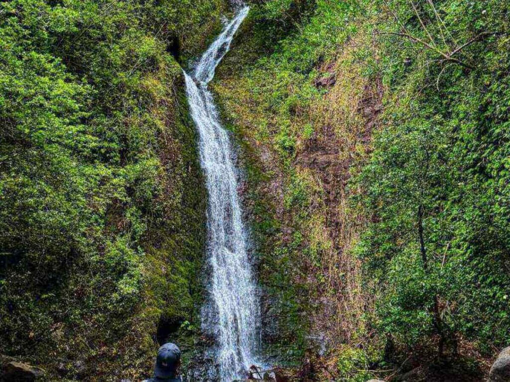 Muddy jungle trail leading to Lulumahu Falls in Oahu